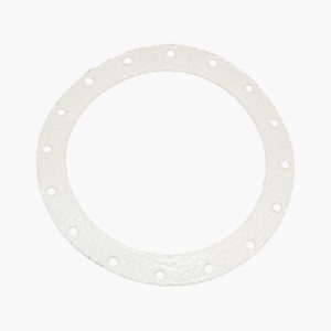 Combustor Gasket